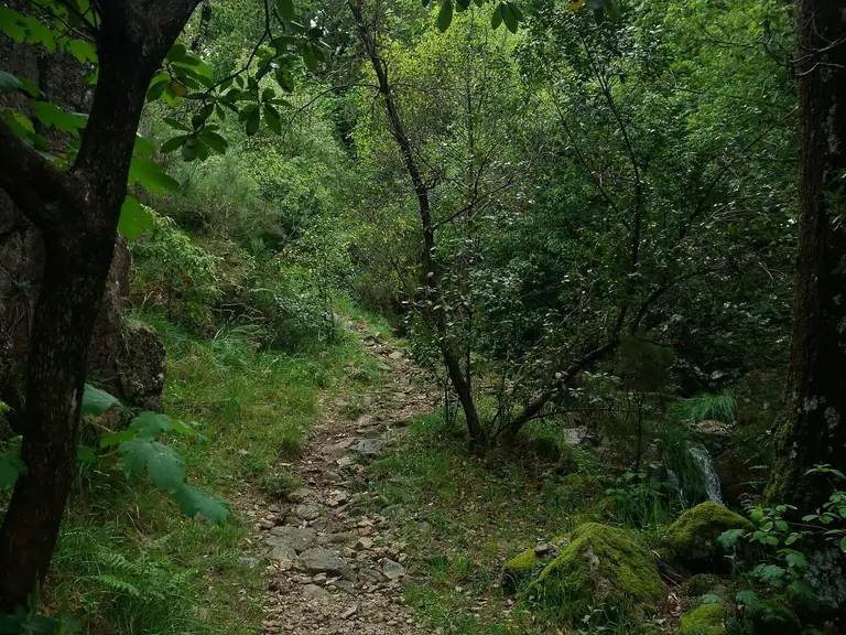 Path along Trilho da Preguiça