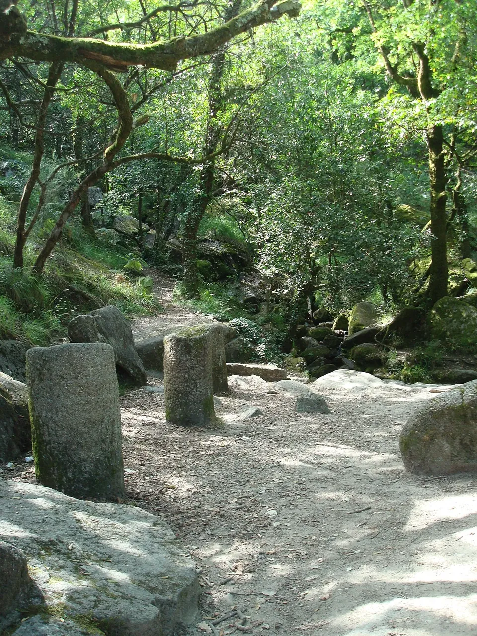 Bornes milliaires de la Geira à Mata da Albergaria